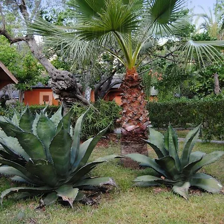 Soller Garden Hotel