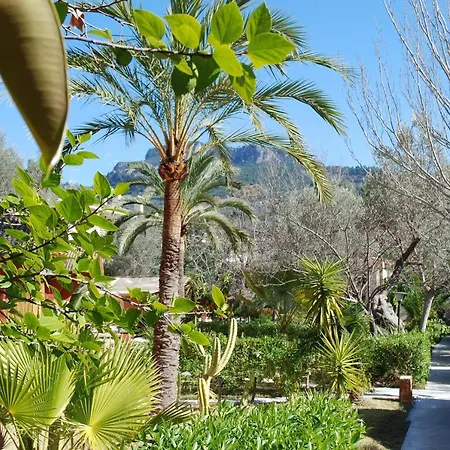 Soller Garden