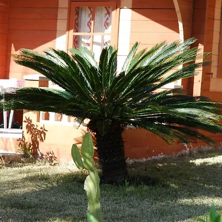 Soller Garden Hotel